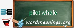 WordMeaning blackboard for pilot whale